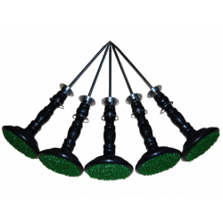 Sokoliarsky posed, plast