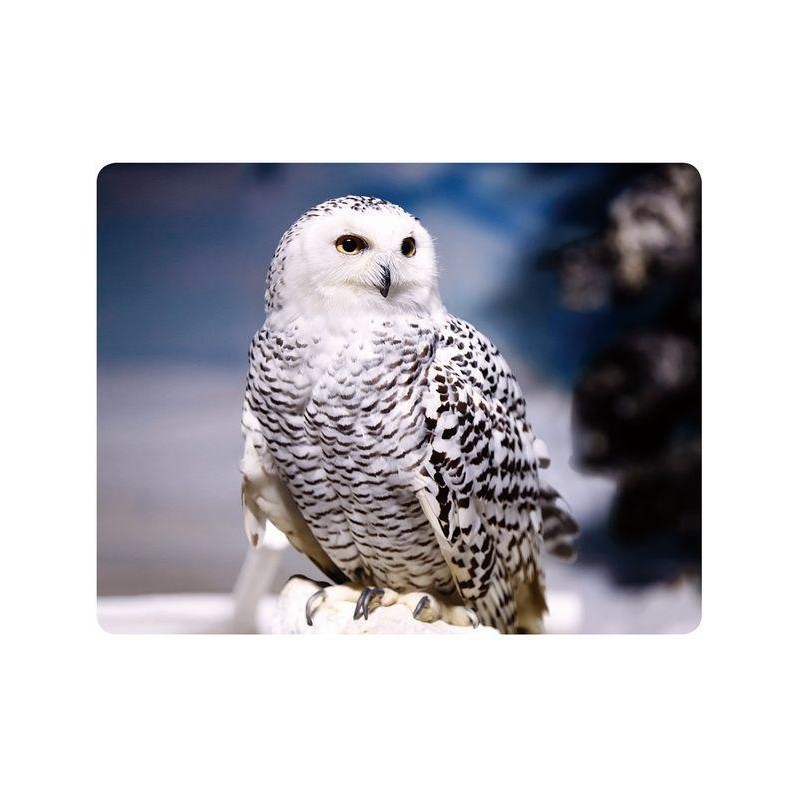 Belaňa stará 3D magnet