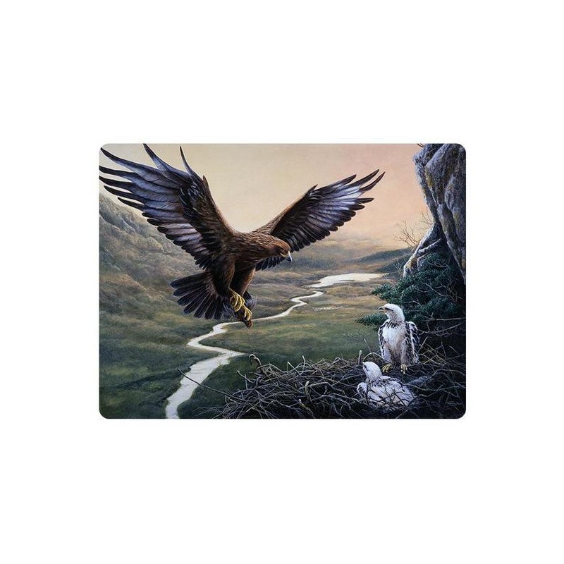 Orliak na hniezde pohľadnica