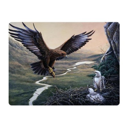 Orliak na hniezde pohľadnica