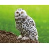 Magnet 3D 7x9cm - sova biela